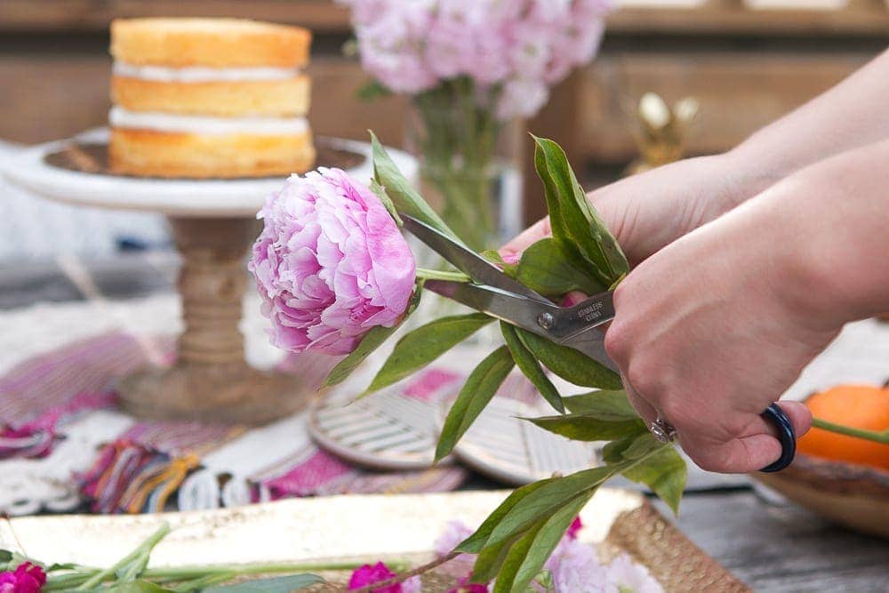 Trim the flower stems