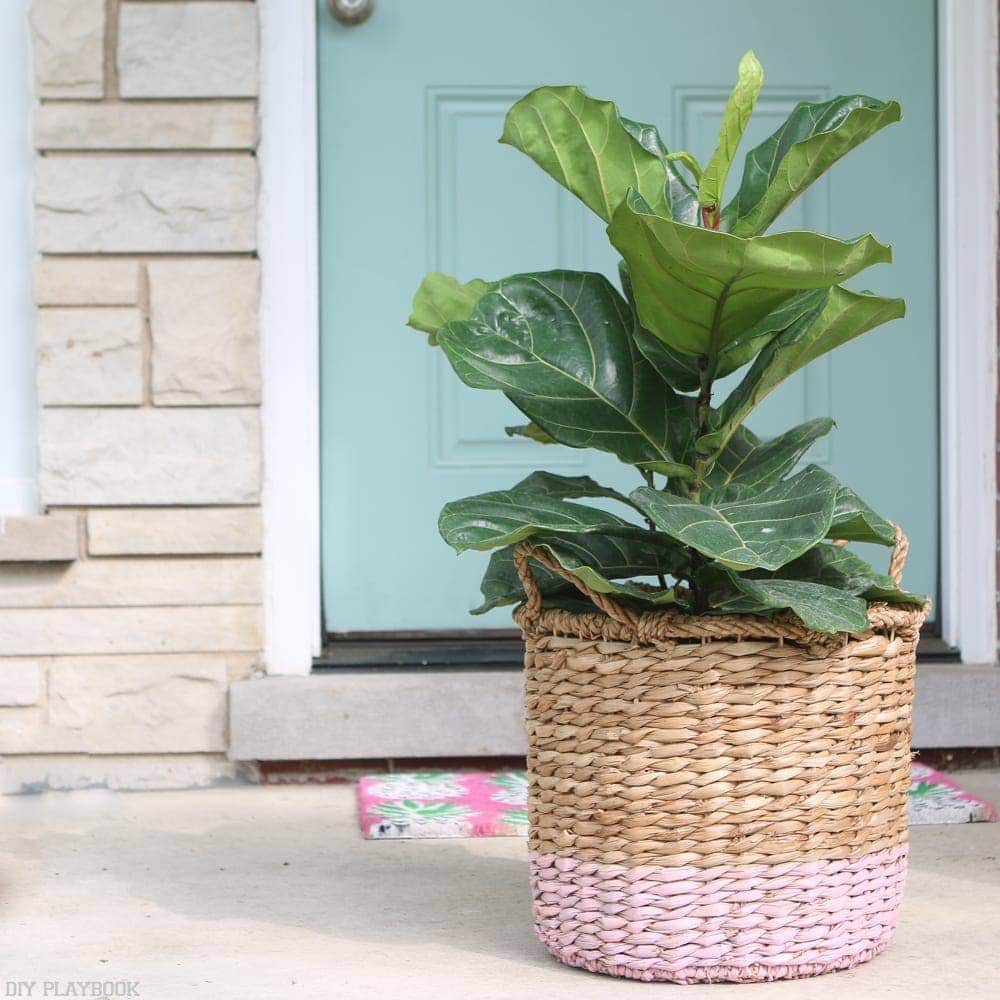 fiddle-leaf-porch-basket