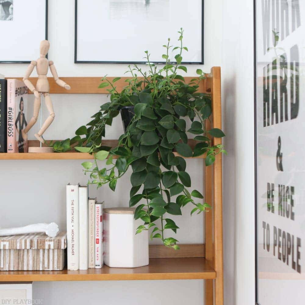 office_progress_wayfair_furniture-plant-office