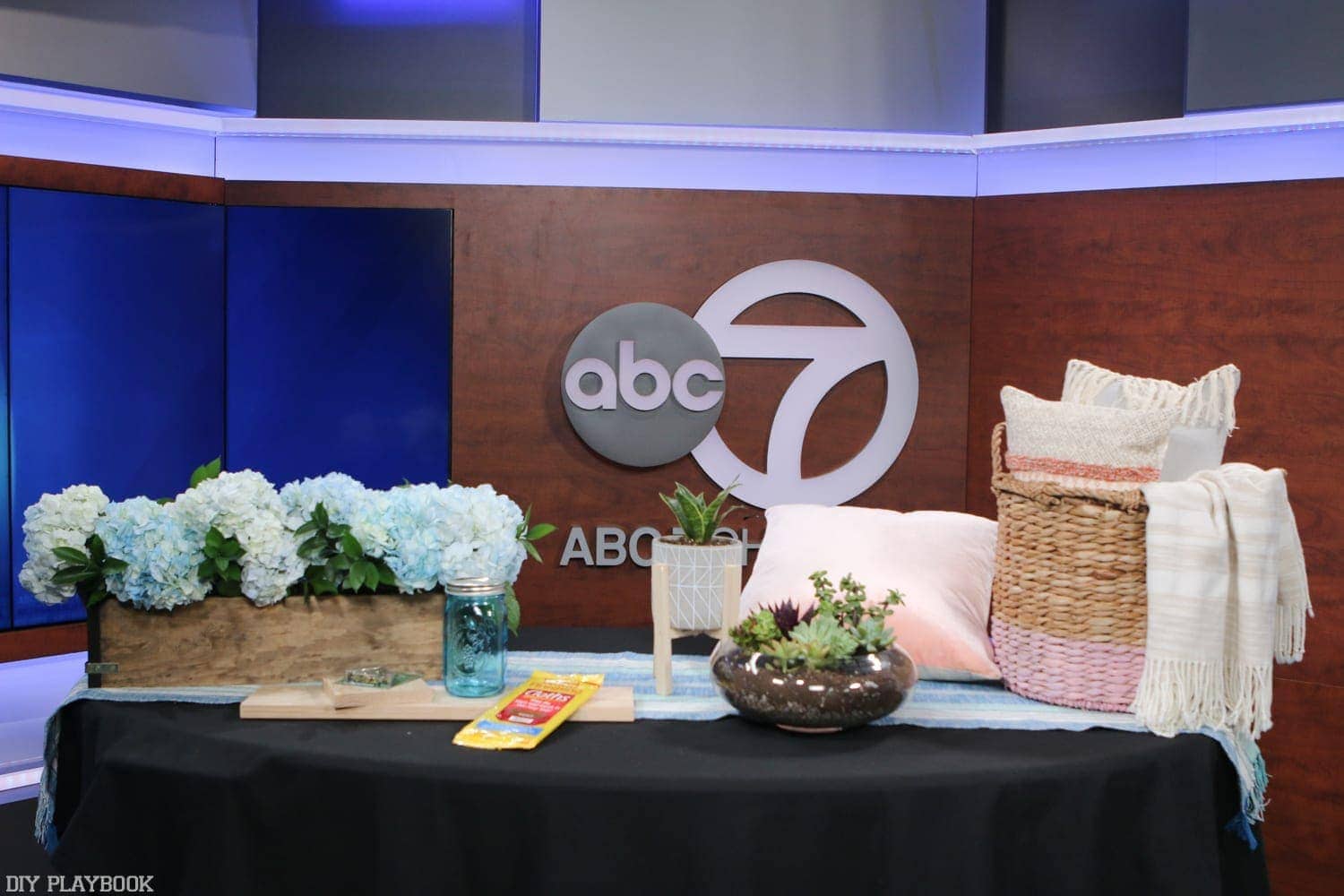 DIY Playbook was featured on ABC & News and we couldn't be more thankful for your love and support!