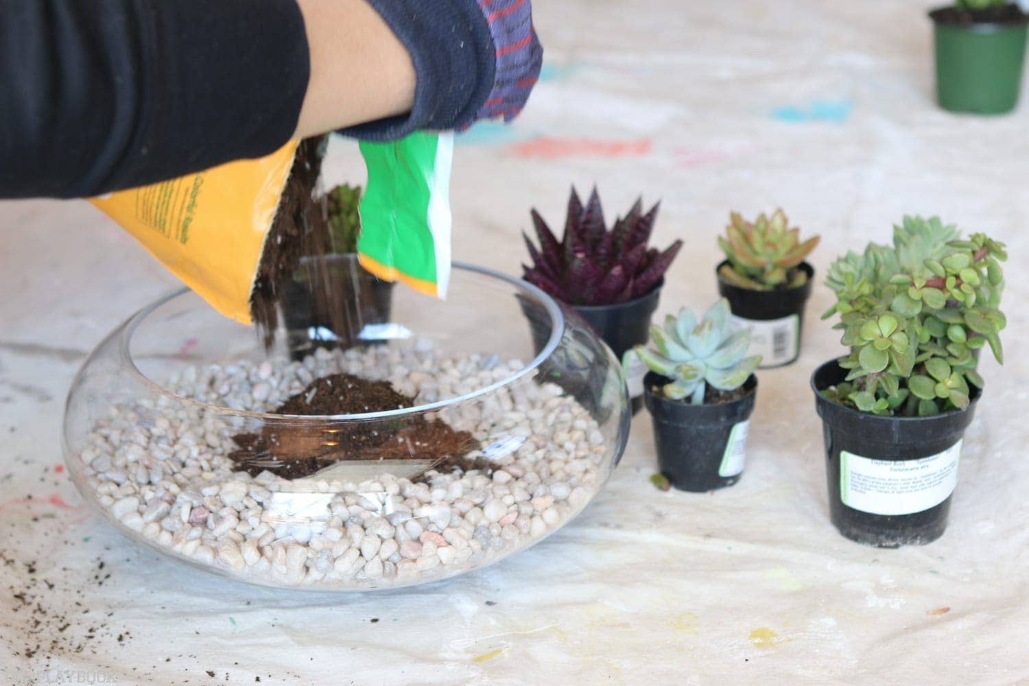 DIY_Terrarium-5