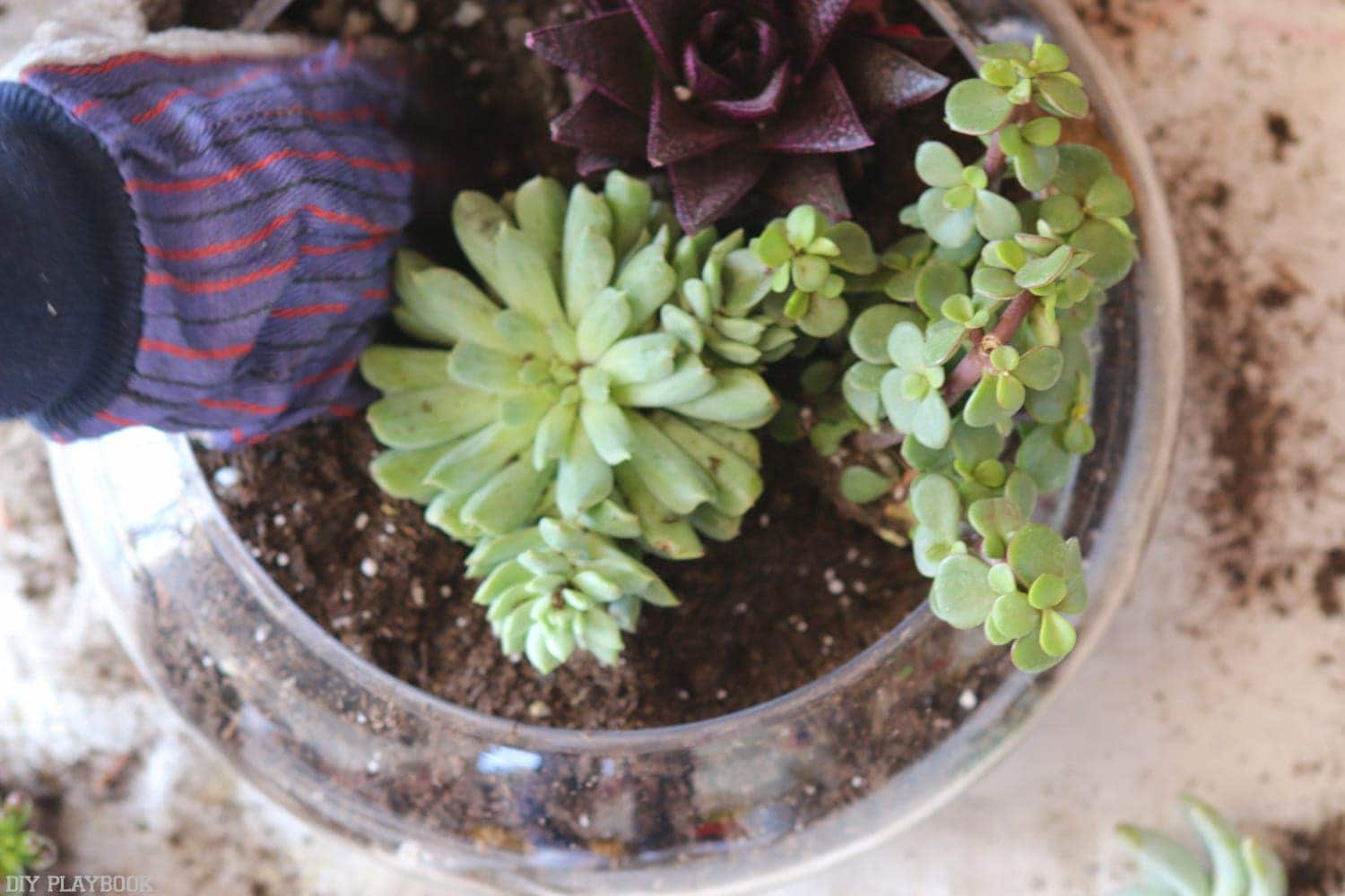 DIY_Terrarium-8