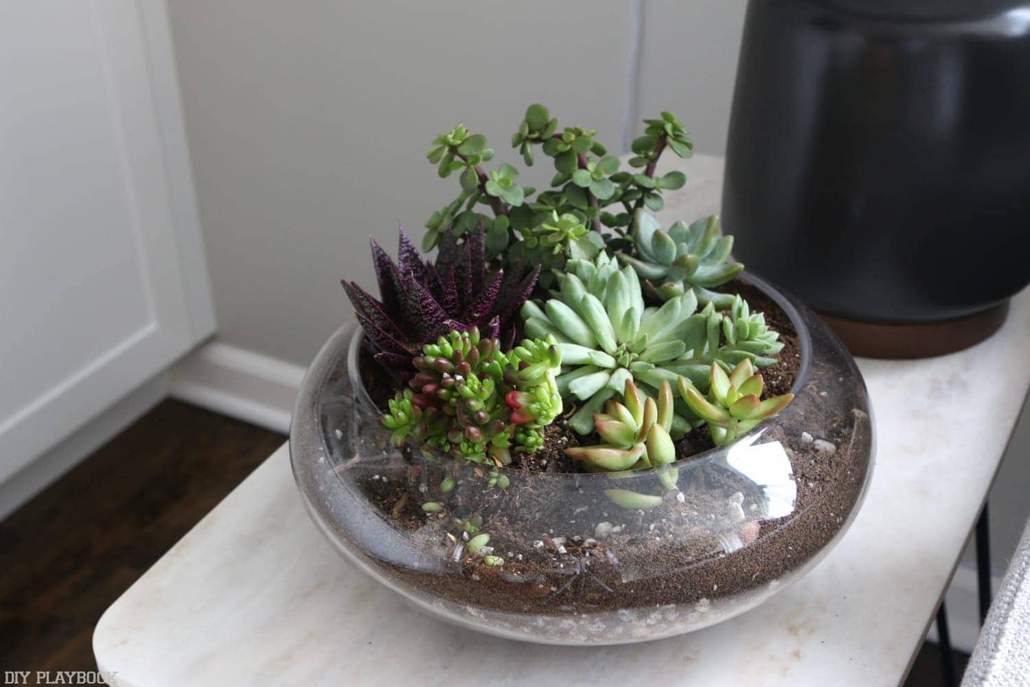 DIY_Terrarium