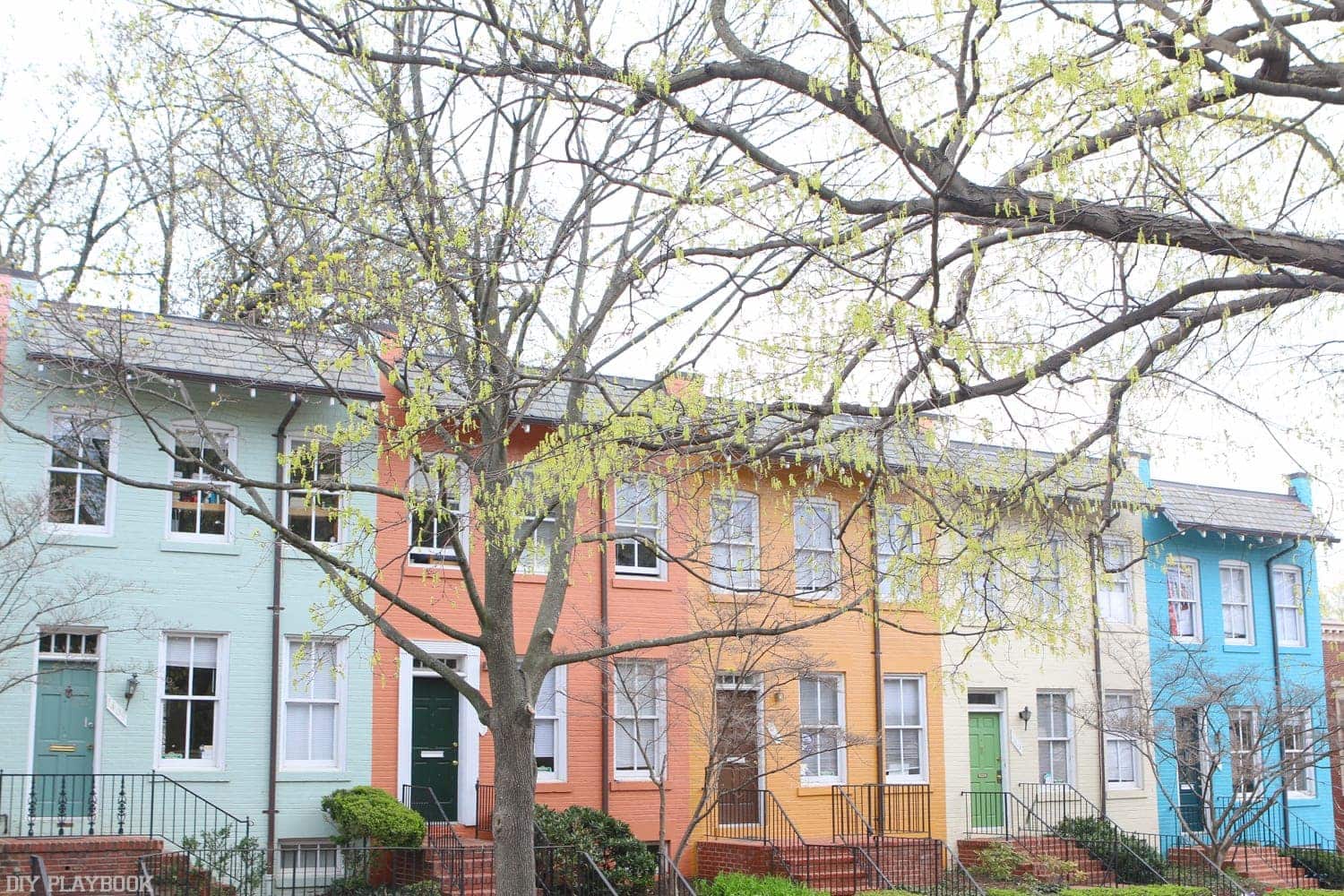 Brightly colored row-houses in Georgetown. 