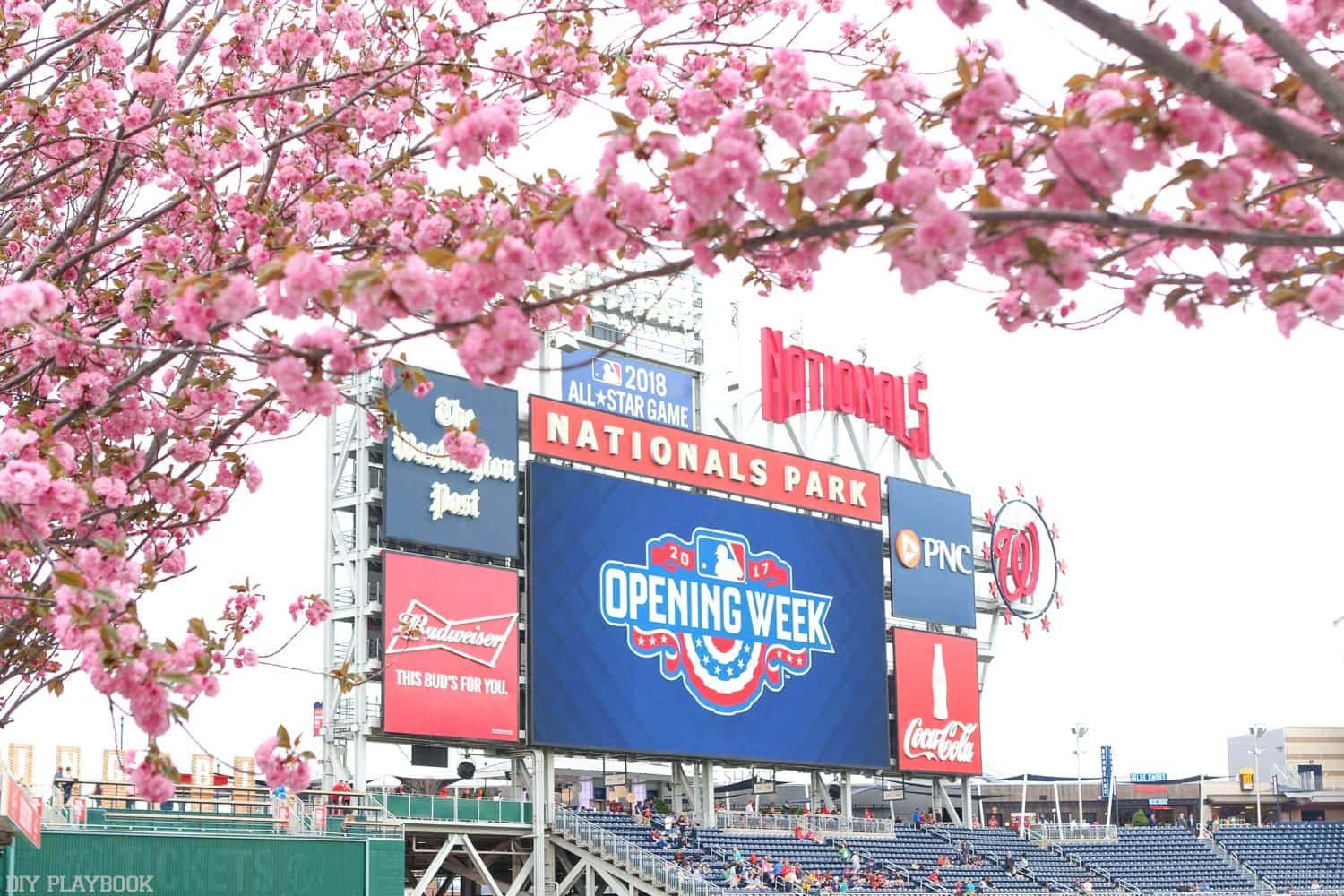 Cherry blossoms at a Nationals baseball game in Washington, DC. 