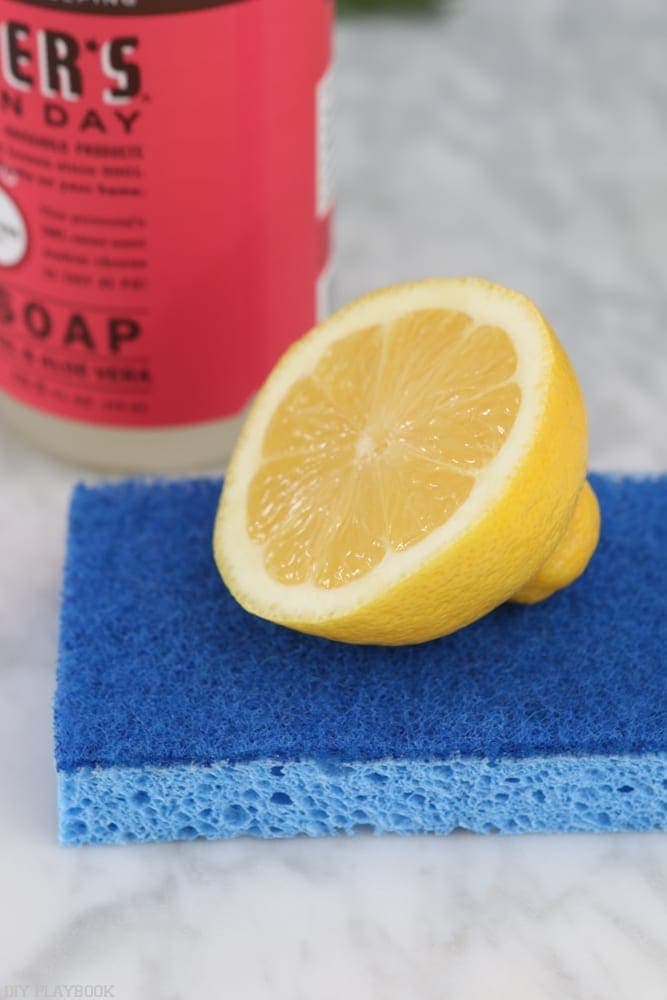 Lemon wedge and a dish sponge for cleaning.