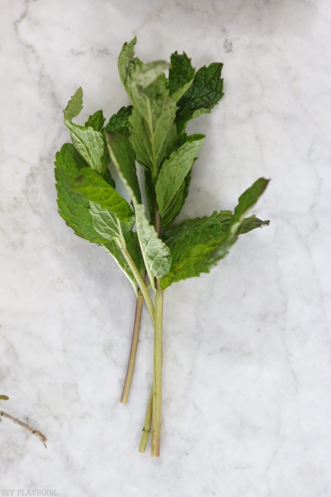 Add fresh mint to the stovetop potpourri.