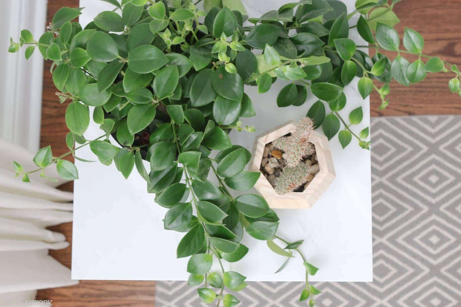 The hairpin table looks excellent with this greenery