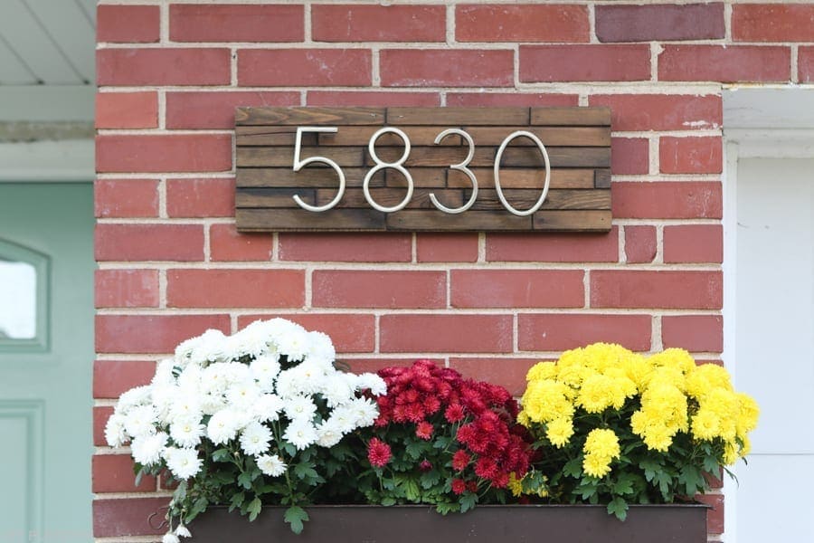 bridgets-first-house-fall-mums