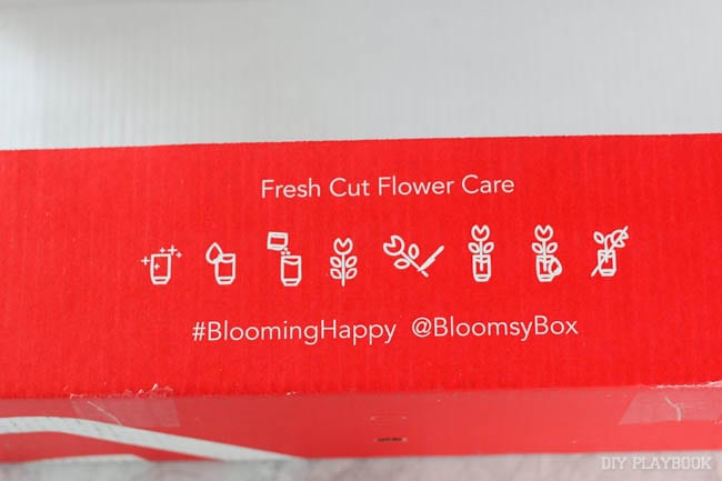 fresh-cut-flower-care