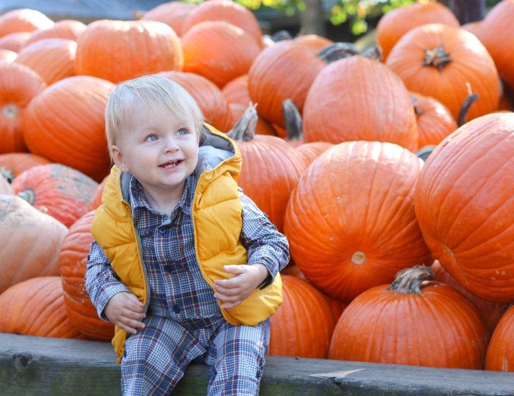 harry-pumpkin