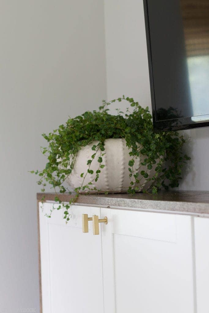 This potted plant adds a small pop of color to the room