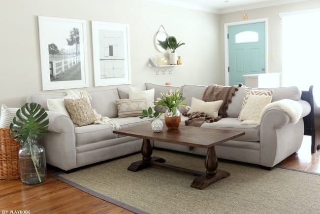 Family room rug and accessories