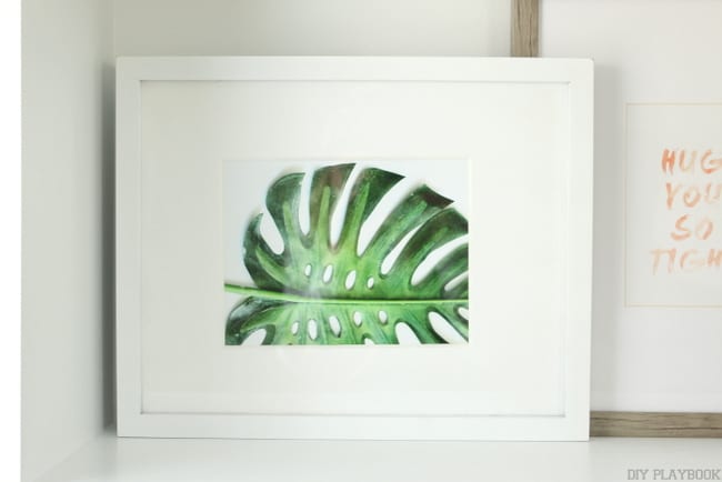 Free printables of succulents to frame for a gallery wall 