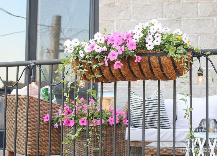 planter-boxes-hanging-flowers