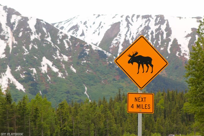 Moose crossing sign in Alaska!