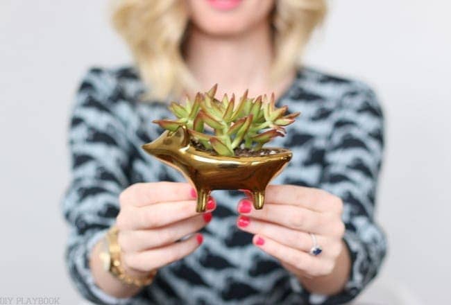 Succulents are so easy to plant, like this sweet little hedgehog planter. 