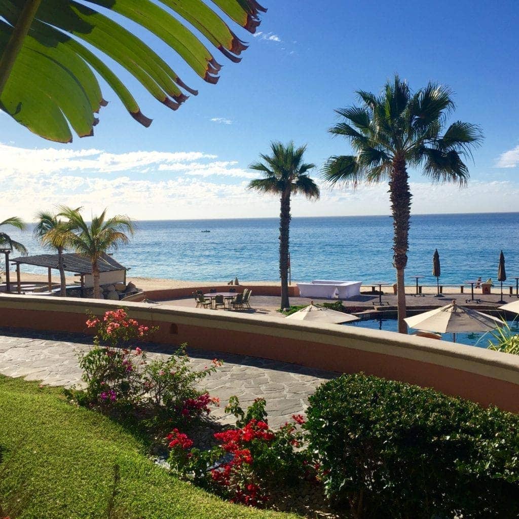 cabo-mexico-pool