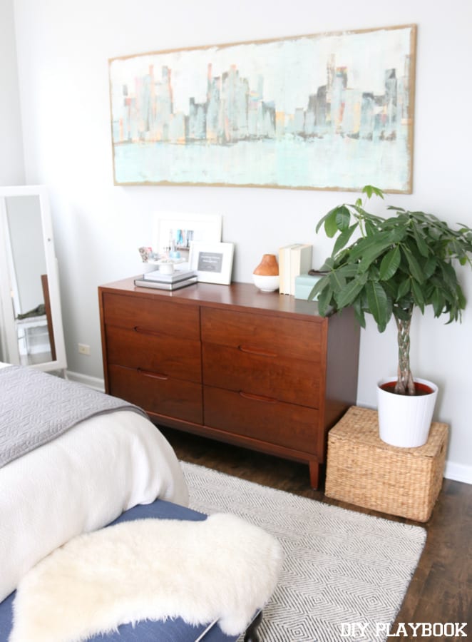 2-casey-master-bedroom-indoor-plant-money-tree