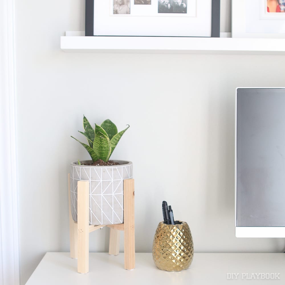 planter-desk-indoor-snake-plant-2