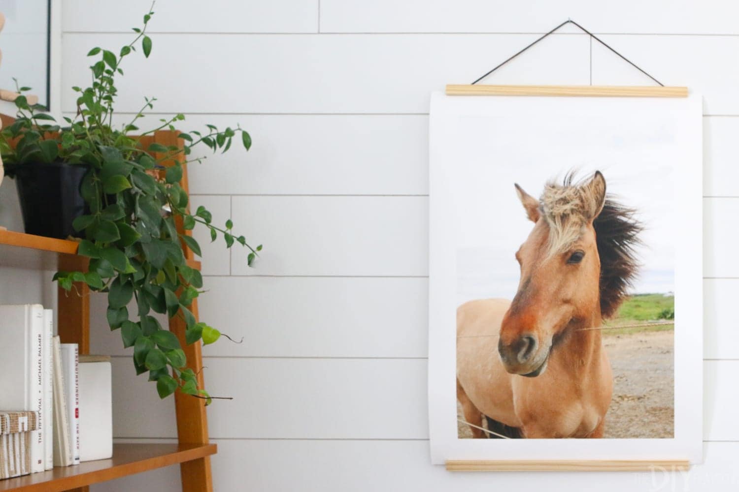 This Icelandic horse print is one of the bestsellers in our print shop. 