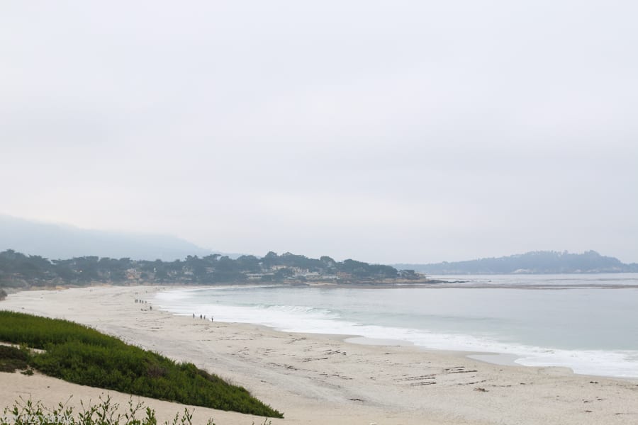 Carmel-by-Sea beach shot. 