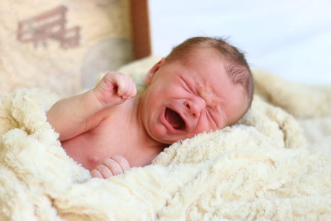 Crying newborns still look adorable in photos. 