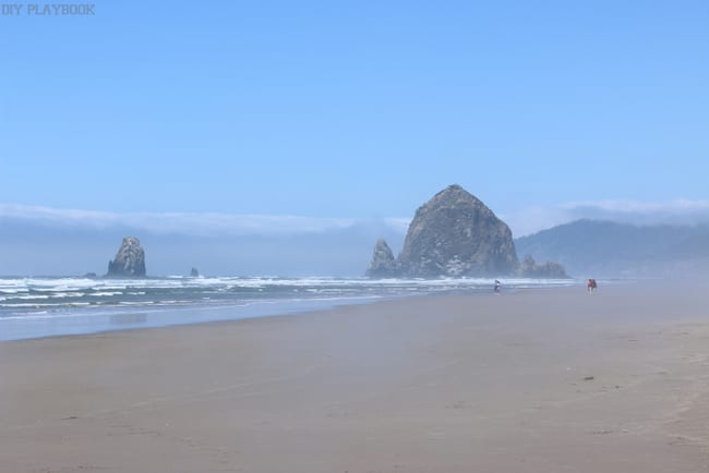 A beautiful beach shot along the coast from our Seattle to San Francisco road trip! These views are breathtaking!