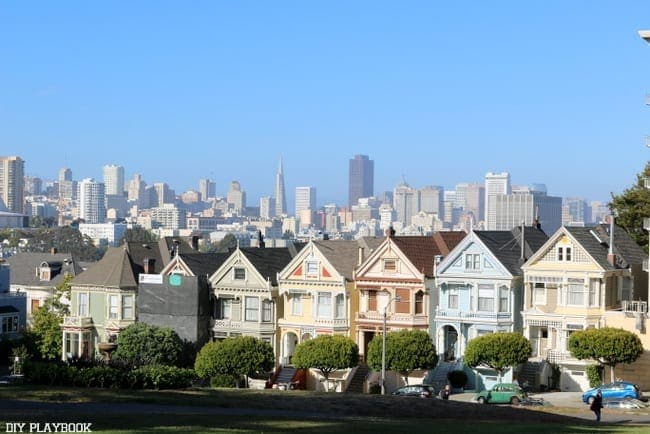 The painted ladies- where are the Tanners??