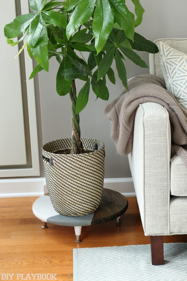 This plant stand is a unique accent to the room. 