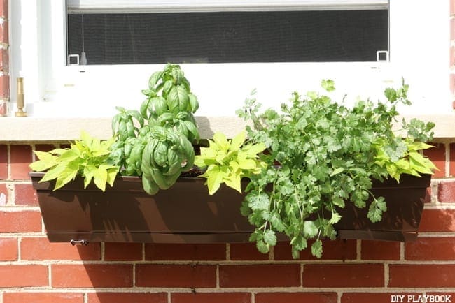 These DIY flower boxes are also great for planting herbs. 