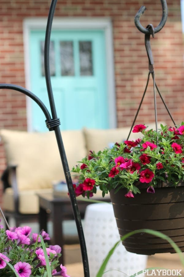 Flowers in baskets