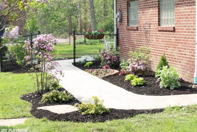 Lowe's patio makeover, the landscaping