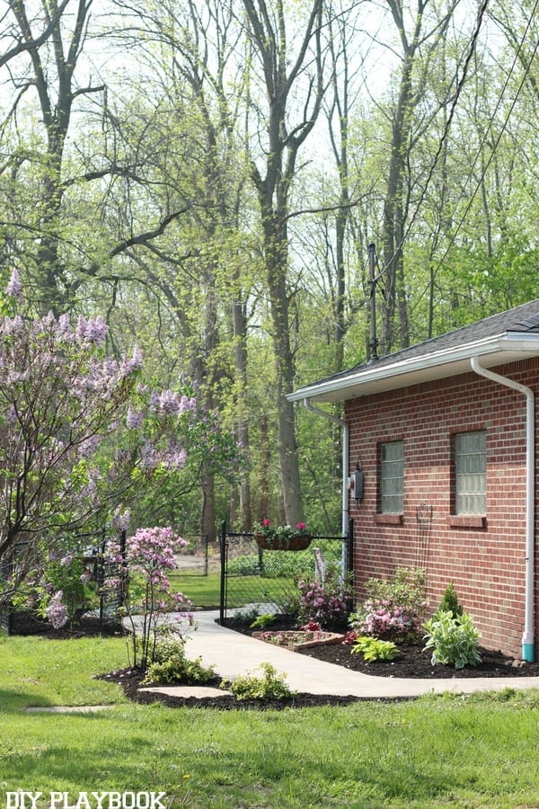 Landscaping on the side of a house