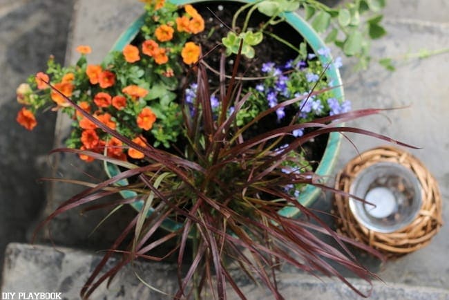 Adding flowers to a pot