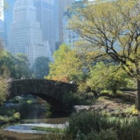 This view of Central Park is gorgeous.