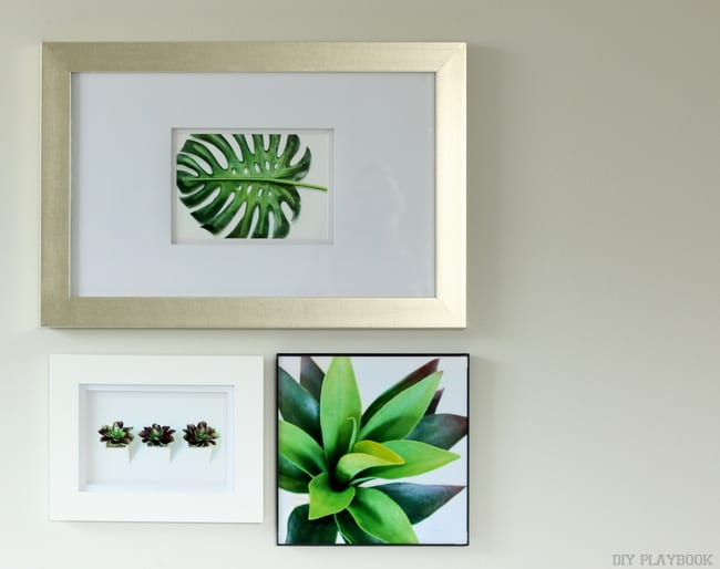 Three framed pictures on a gallery wall. Succulent plants and palm leaf prints. 