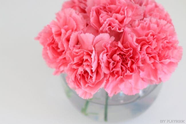 Make them look more full: How to Decorate with Carnations: Tutorial | DIY Playbook