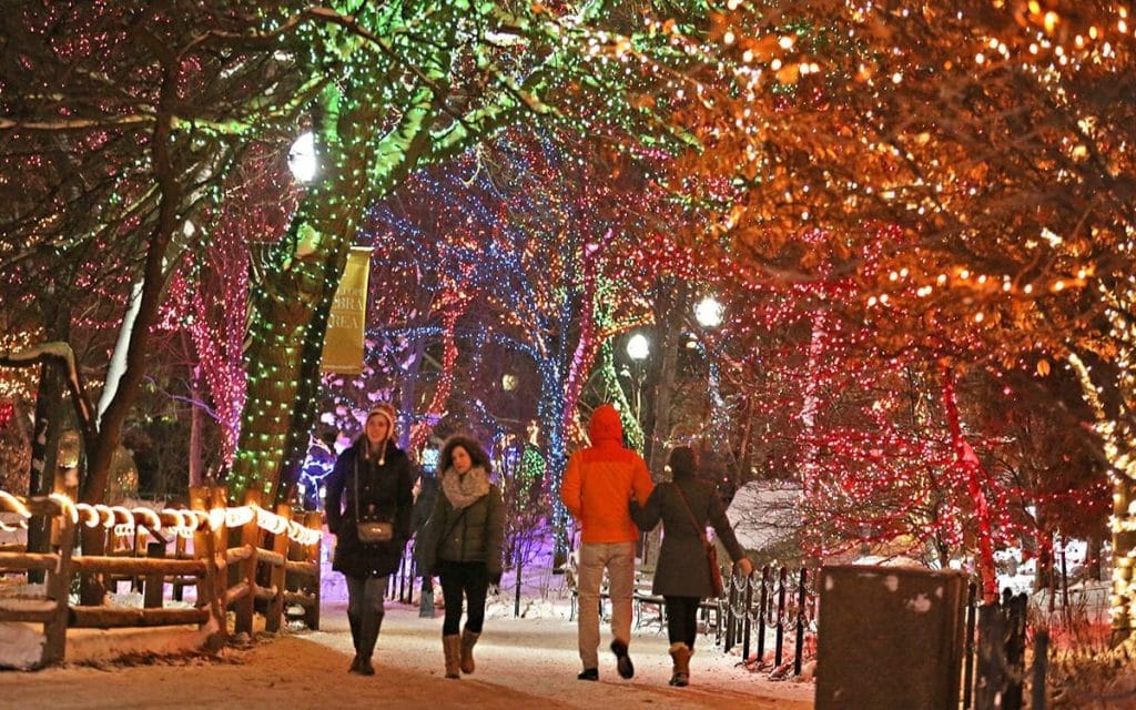 The Christmas lights at the Lincoln Park Zoo light up the cold winter night. 